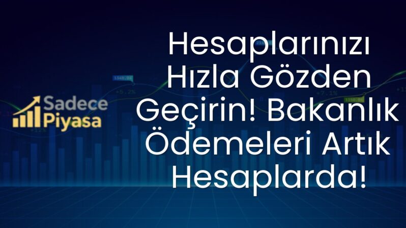 Hesaplarınızı Hızla Gözden Geçirin! Bakanlık Ödemeleri Artık Hesaplarda!