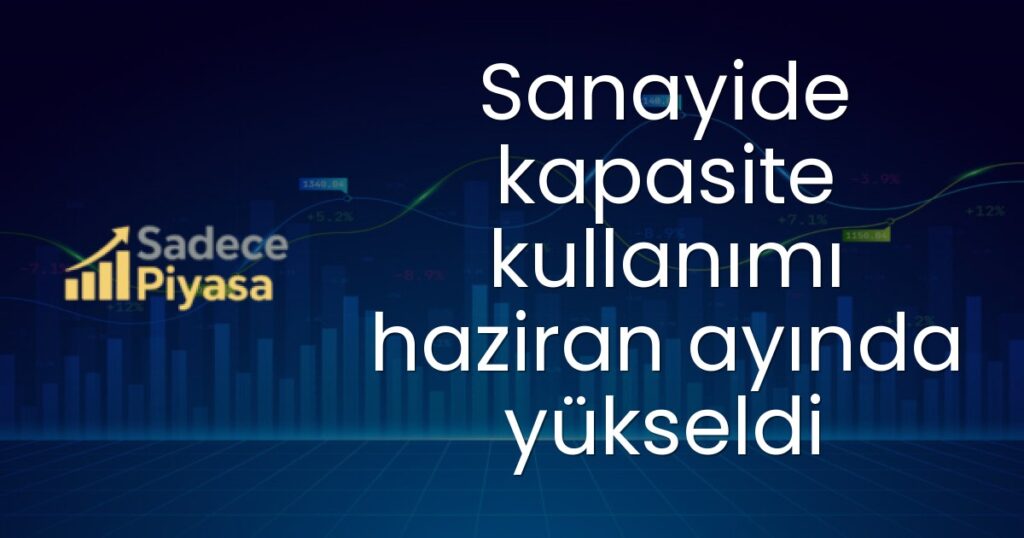 Kapasite Kullanım Oranı