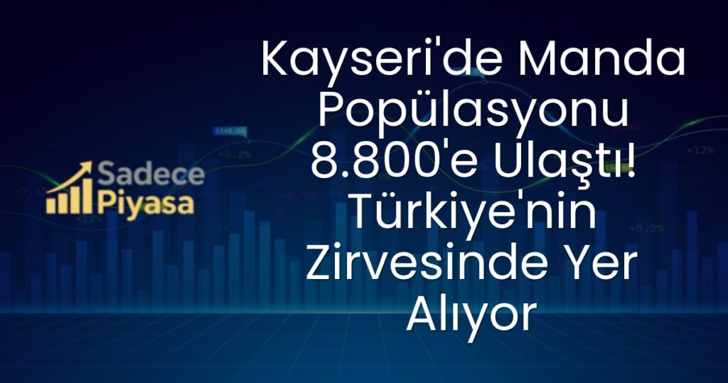 Kayseri manda popülasyonu