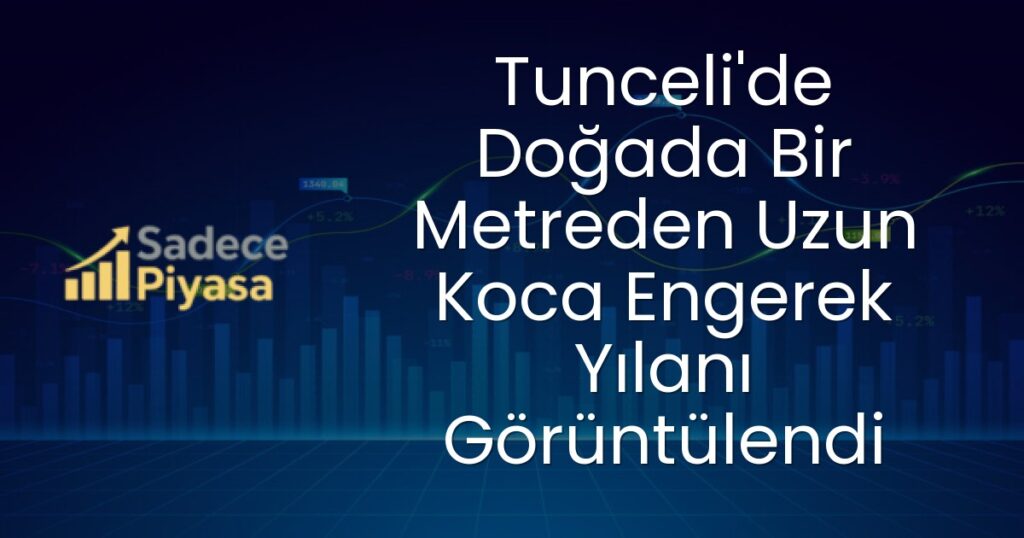 koca engerek yılanı