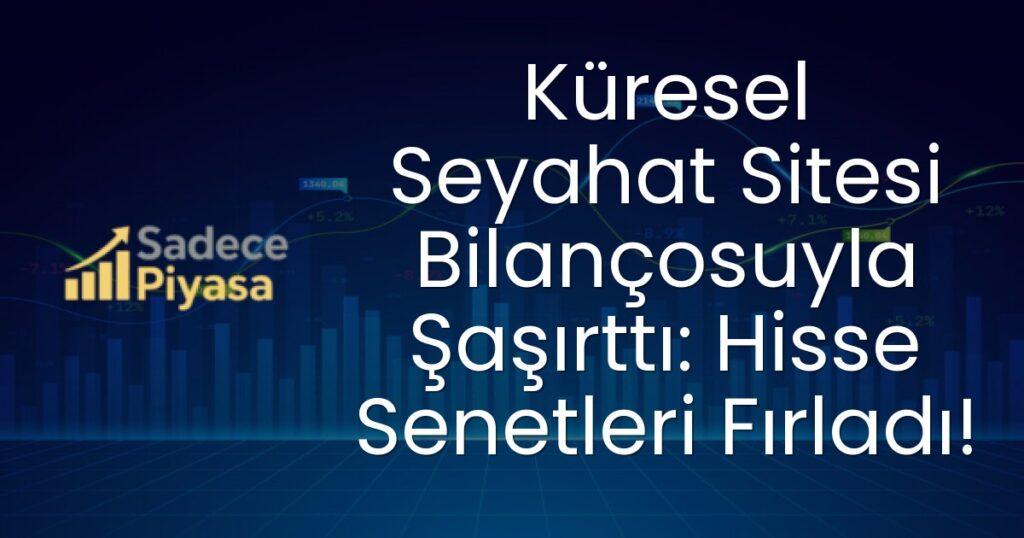 Küresel seyahat
