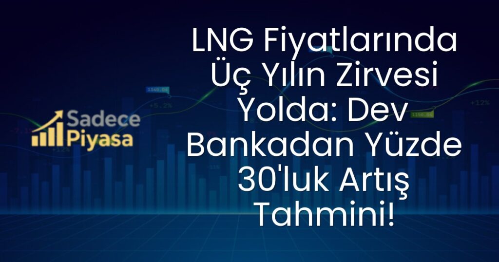 LNG fiyatları
