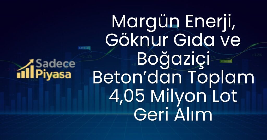 Margün Enerji