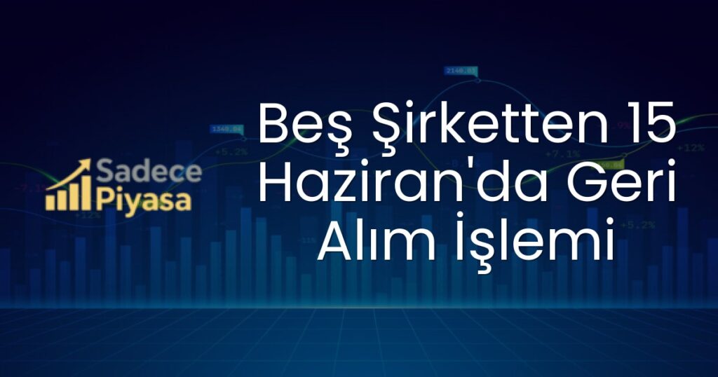 Margün Enerji