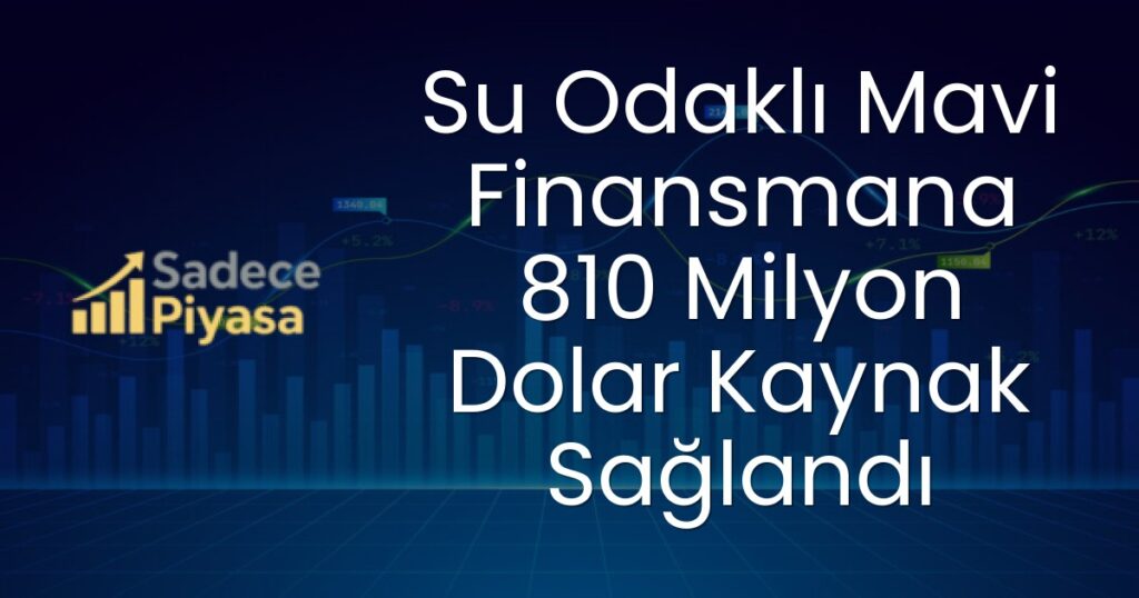 Mavi finansman