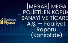 [MEGAP] MEGA POLİETİLEN KÖPÜK SANAYİ VE TİCARET A.Ş. — Faaliyet Raporu (Konsolide)