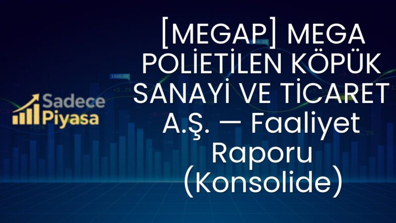 [MEGAP] MEGA POLİETİLEN KÖPÜK SANAYİ VE TİCARET A.Ş. — Faaliyet Raporu (Konsolide)