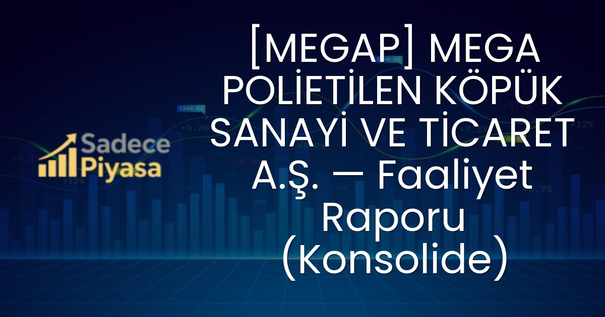 [MEGAP] MEGA POLİETİLEN KÖPÜK SANAYİ VE TİCARET A.Ş. — Faaliyet Raporu (Konsolide)