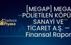 [MEGAP] MEGA POLİETİLEN KÖPÜK SANAYİ VE TİCARET A.Ş. — Finansal Rapor