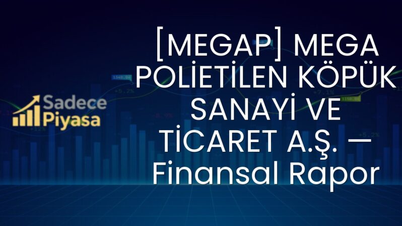 [MEGAP] MEGA POLİETİLEN KÖPÜK SANAYİ VE TİCARET A.Ş. — Finansal Rapor