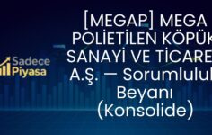 [MEGAP] MEGA POLİETİLEN KÖPÜK SANAYİ VE TİCARET A.Ş. — Sorumluluk Beyanı (Konsolide)