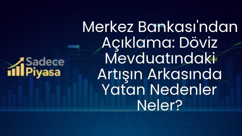 Merkez Bankası’ndan Açıklama: Döviz Mevduatındaki Artışın Arkasında Yatan Nedenler Neler?