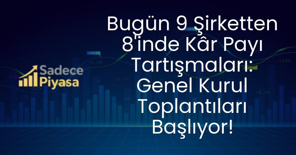 Meysu Gıda Sanayi ve Ticaret A.Ş.