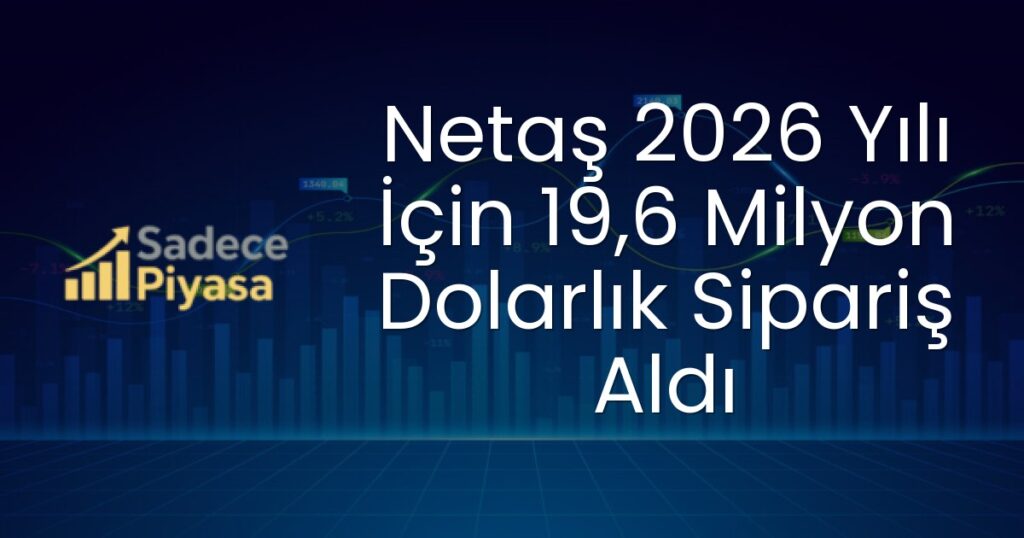 Netaş