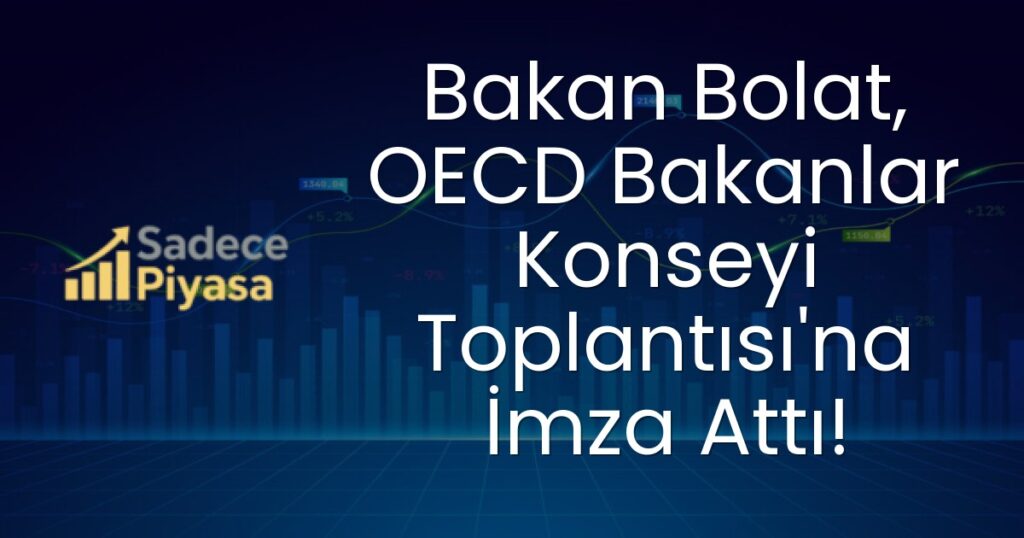 OECD Bakanlar Konseyi Toplantısı