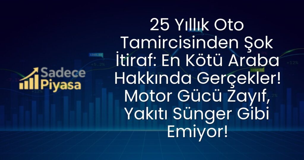 oto tamircisi