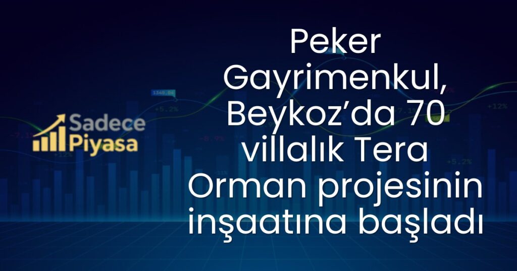 Peker Gayrimenkul