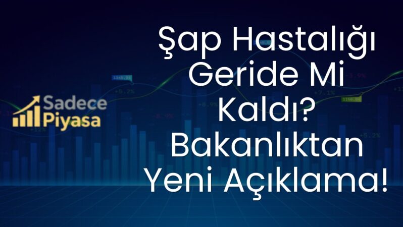 Şap Hastalığı Geride Mi Kaldı? Bakanlıktan Yeni Açıklama!