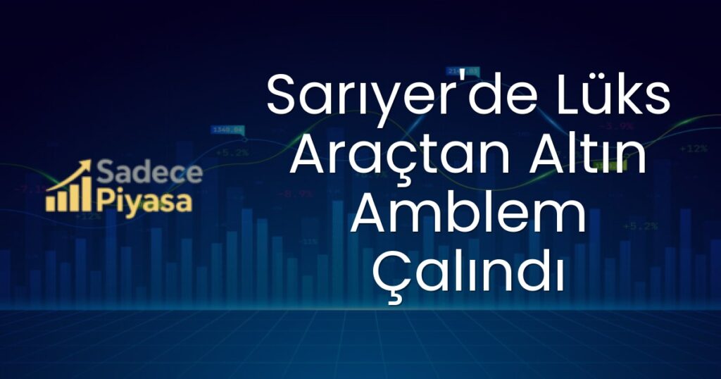 Sarıyer'de hırsızlık