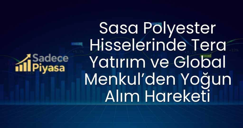 Sasa Polyester Hissesi