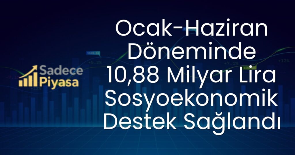 sosyoekonomik destek
