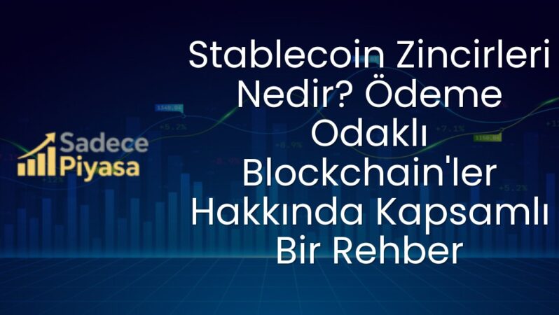 Stablecoin Zincirleri Nedir? Ödeme Odaklı Blockchain’ler Hakkında Kapsamlı Bir Rehber