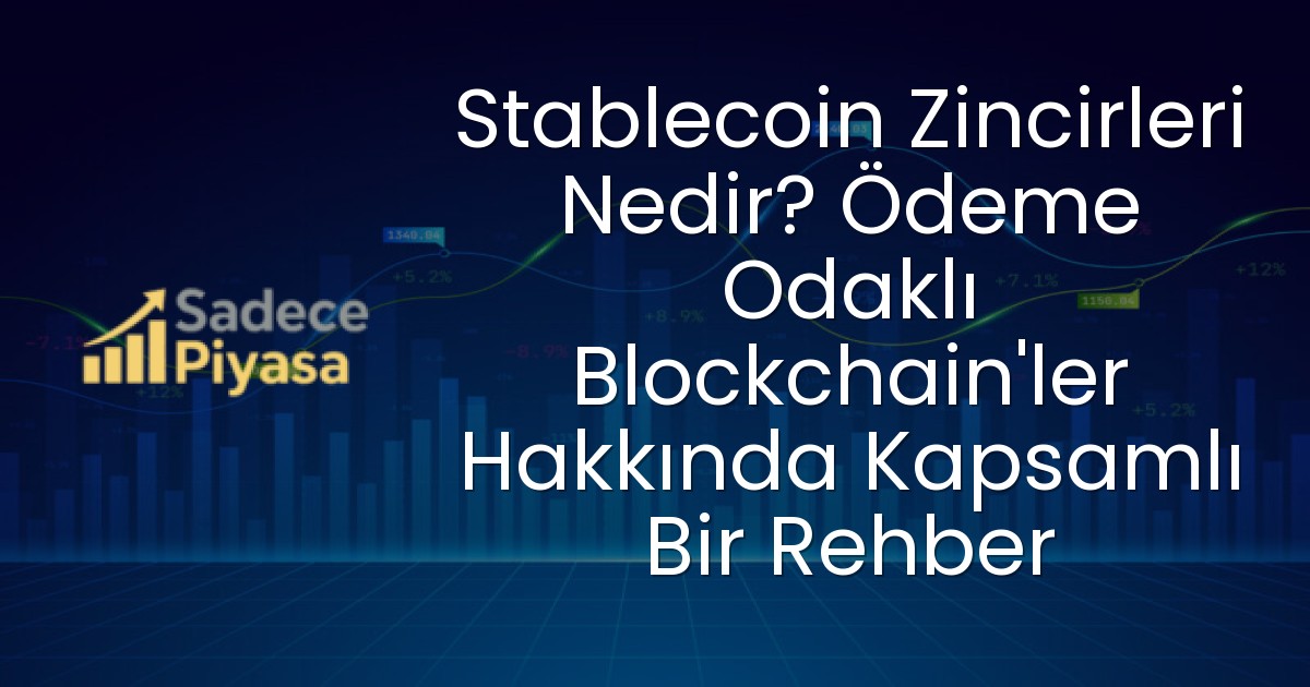 Stablecoin Zincirleri Nedir? Ödeme Odaklı Blockchain’ler Hakkında Kapsamlı Bir Rehber