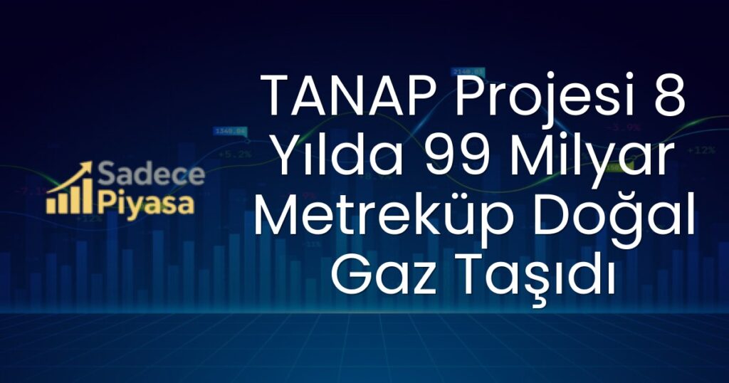 TANAP Projesi