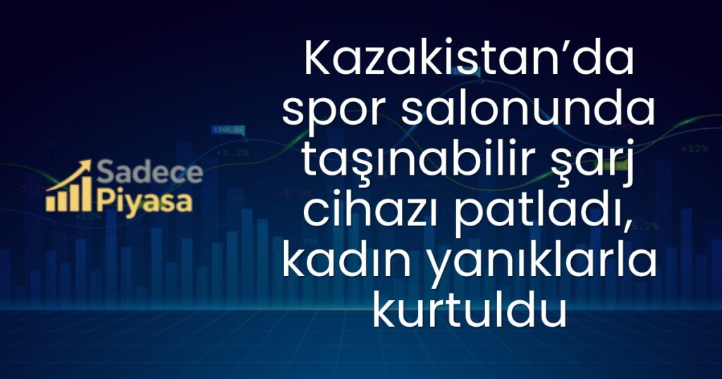 taşınabilir şarj cihazı