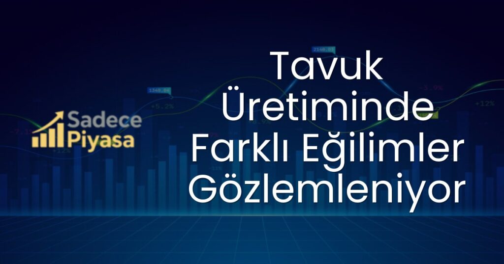 tavuk eti