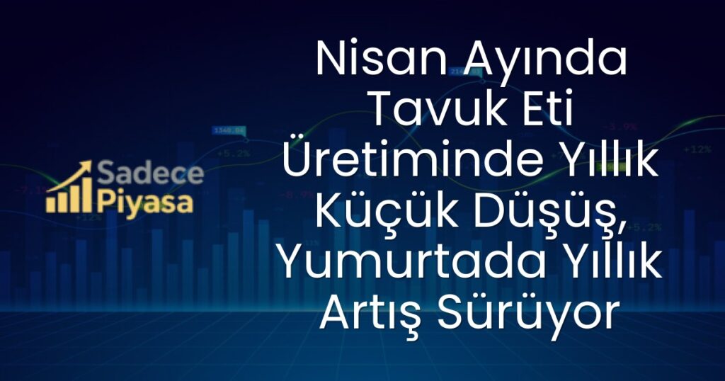 tavuk eti üretimi