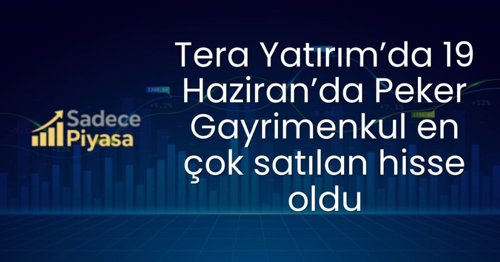 Tera Yatırım