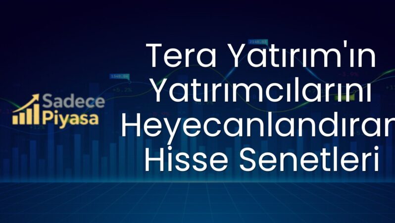 Tera Yatırım’ın Yatırımcılarını Heyecanlandıran Hisse Senetleri