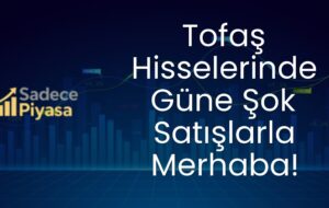 Arpa ve mısır ithalatında tarife kontenjanları  yeniden belirlendi