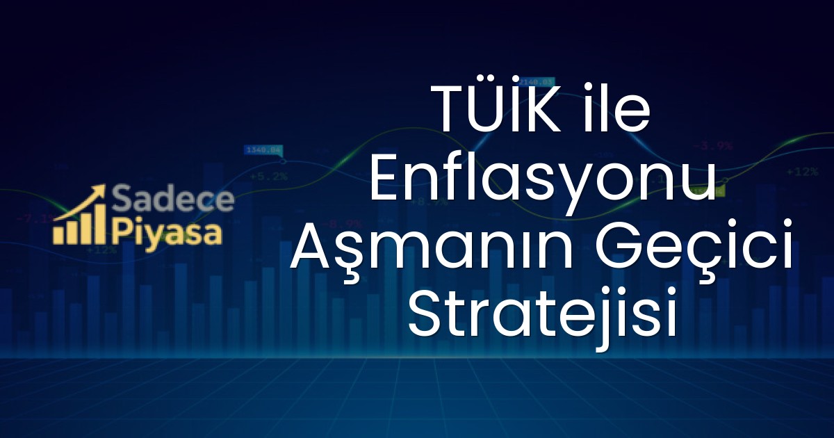 TÜİK ile Enflasyonu Aşmanın Geçici Stratejisi