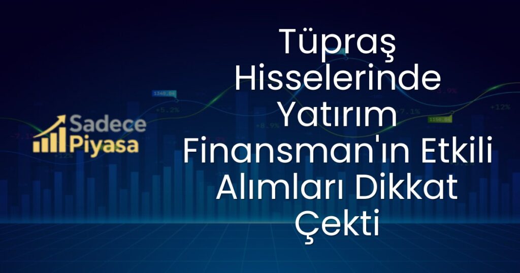 Tüpraş hissesi