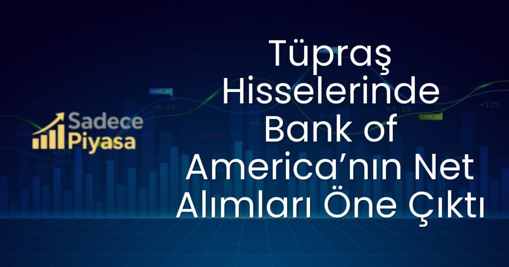 Tüpraş hissesi
