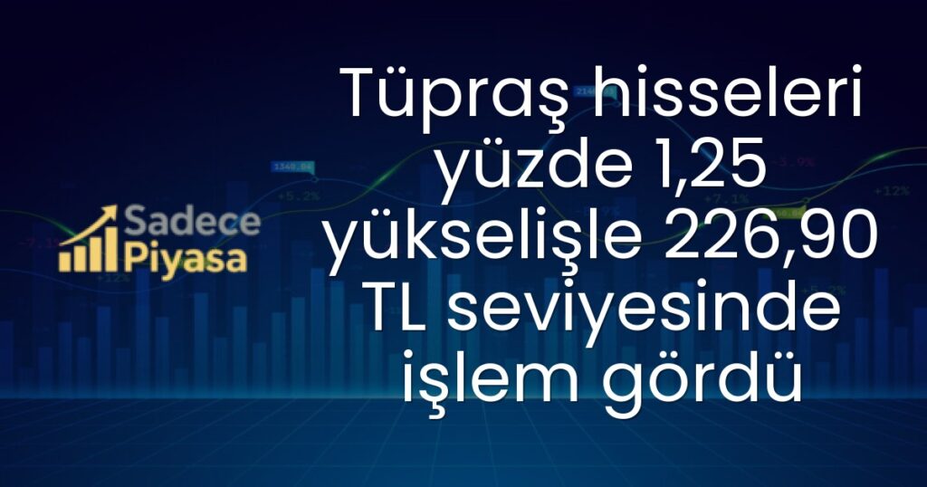 Tüpraş hissesi