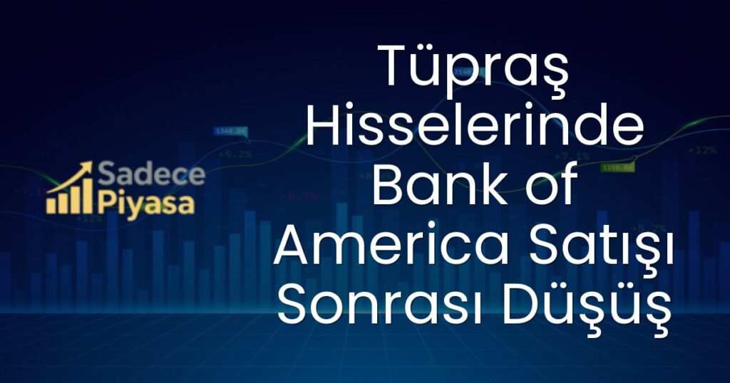Tüpraş hissesi