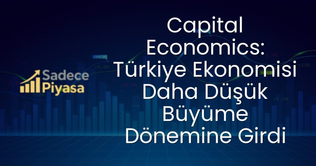 Türkiye Ekonomisi