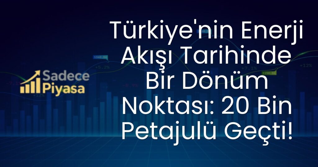 Türkiye enerji akışı
