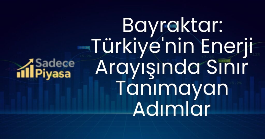 Türkiye enerji arayışı