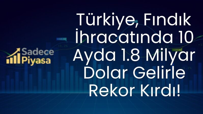 Türkiye, Fındık İhracatında 10 Ayda 1.8 Milyar Dolar Gelirle Rekor Kırdı!