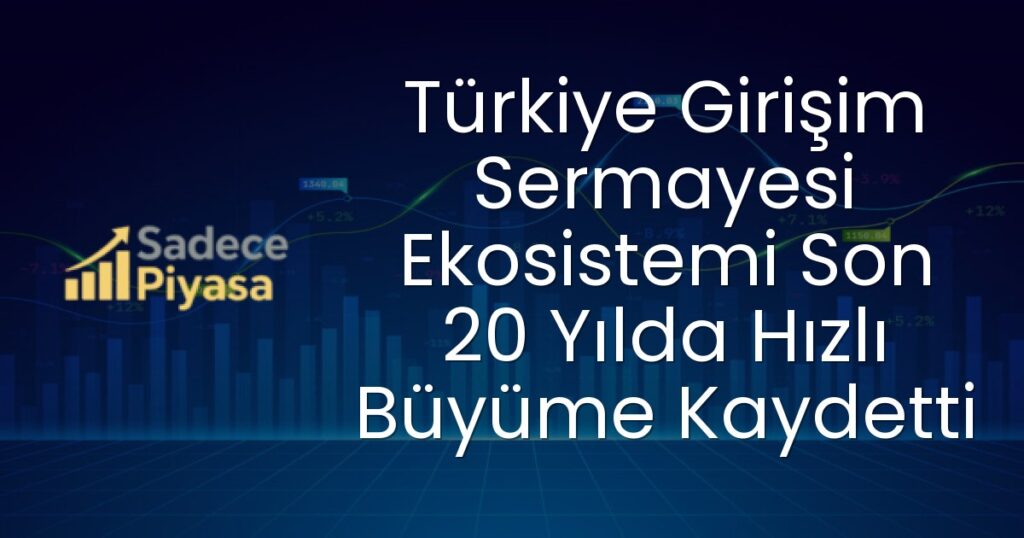 Türkiye girişim sermayesi