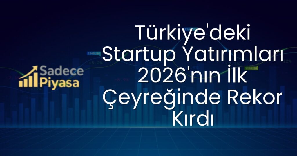 Türkiye girişim sermayesi yatırımları