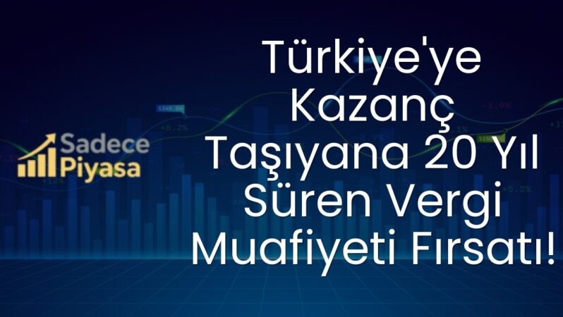 Türkiye’ye Kazanç Taşıyana 20 Yıl Süren Vergi Muafiyeti Fırsatı!