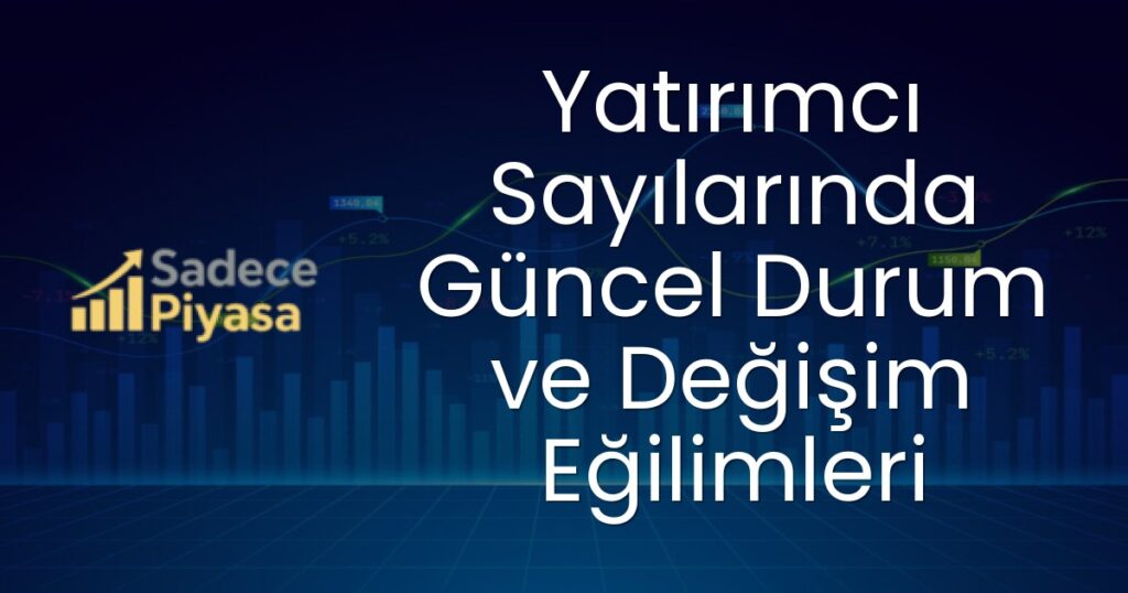 Türkiye yatırımcı sayısı