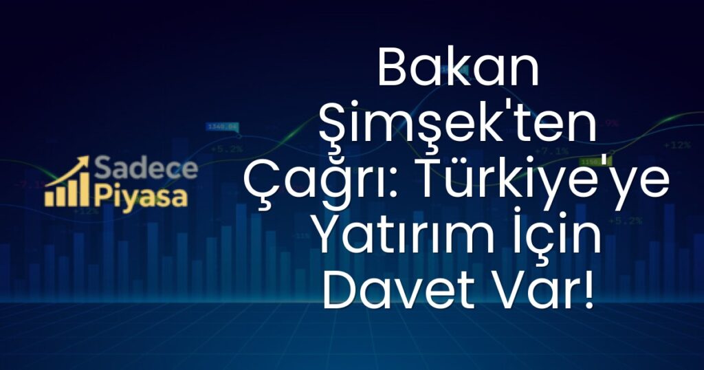 Türkiye Yatırımları
