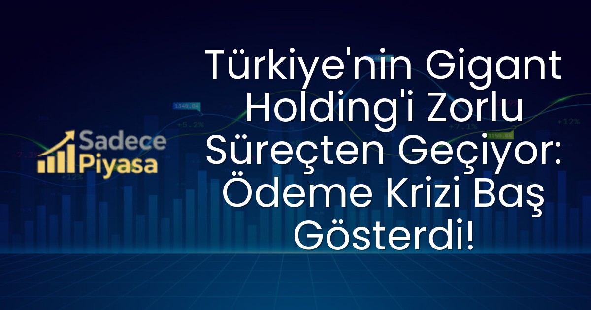 Türkiye’nin Gigant Holding’i Zorlu Süreçten Geçiyor: Ödeme Krizi Baş Gösterdi!