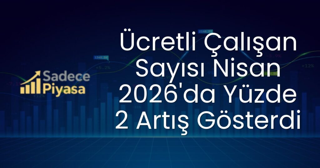 Ücretli Çalışan Sayısı